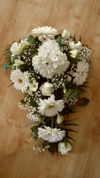 DOLCE IMAGES
