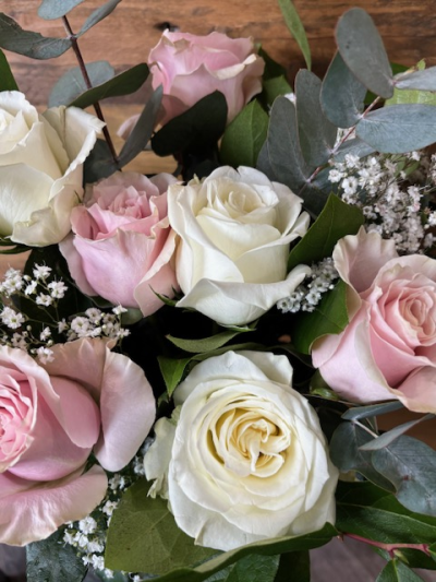 Dozen Pink & Ivory roses - A lovely bouquet of a dozen pink and Ivory roses in an aqua pack.