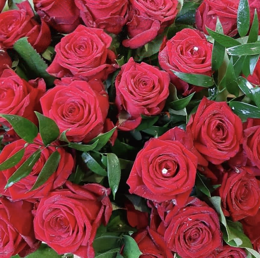 Dozen Red Roses Product Image