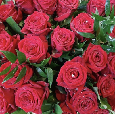 Dozen Red Roses - 12 Beautiful red roses and mixed foliage, in a presentation box. The Ultimate romantic gesture.