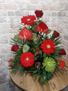 Christmas Arrangement