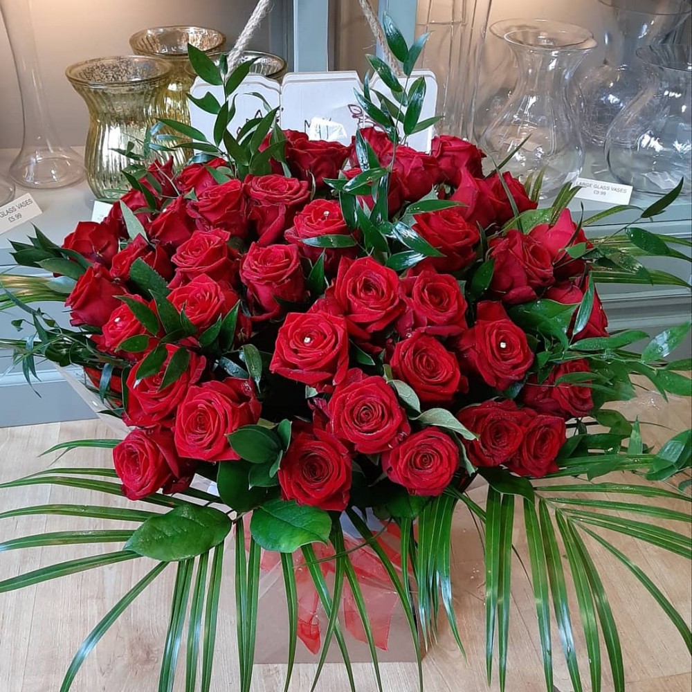 50 Beautiful Red Roses